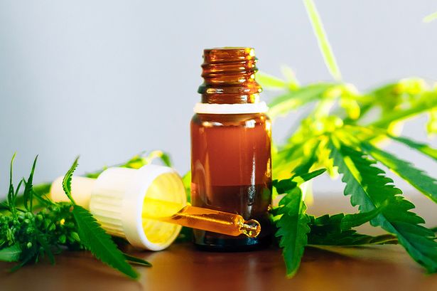 Cbd oil online