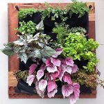 vertical wall garden