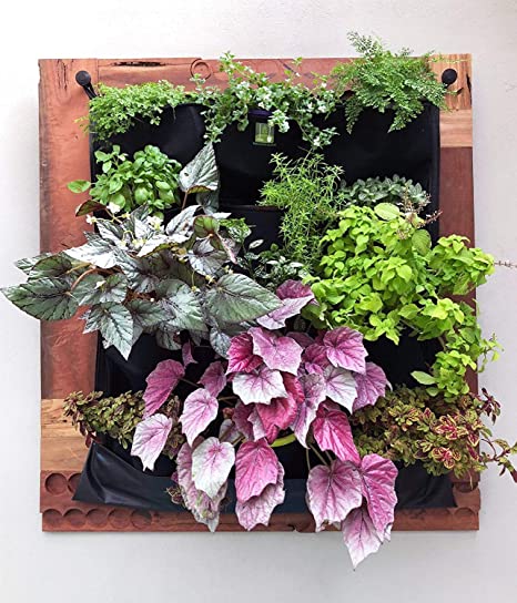 vertical wall garden