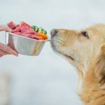 Pet Food
