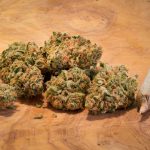 online dispensary canada