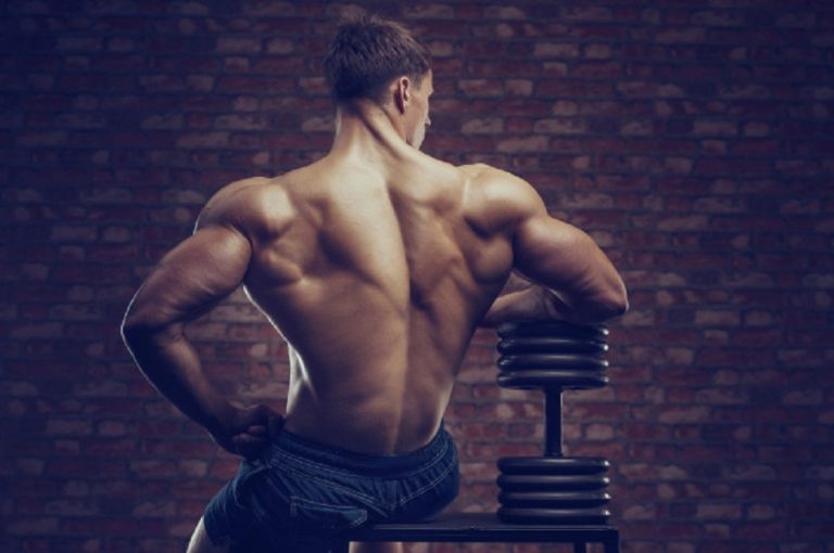 The Steroids Online