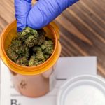 Use Of Medical Cannabis